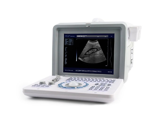Dolphi® Pro Portable B/W Ultrasound Scanner